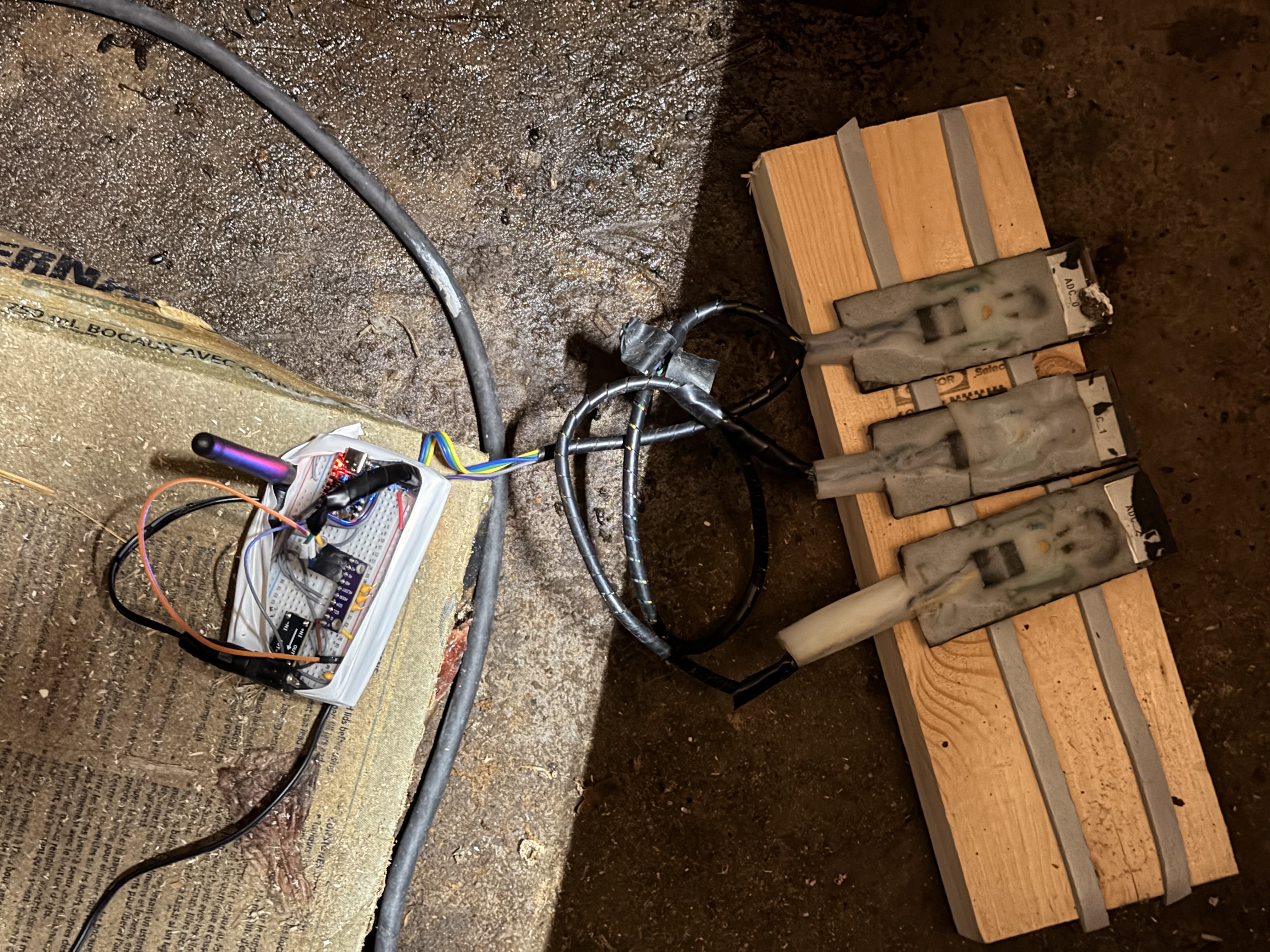 ESP32-C3 breadboard and three NTC sensor assemblies deployed in static thermal chamber during calibration